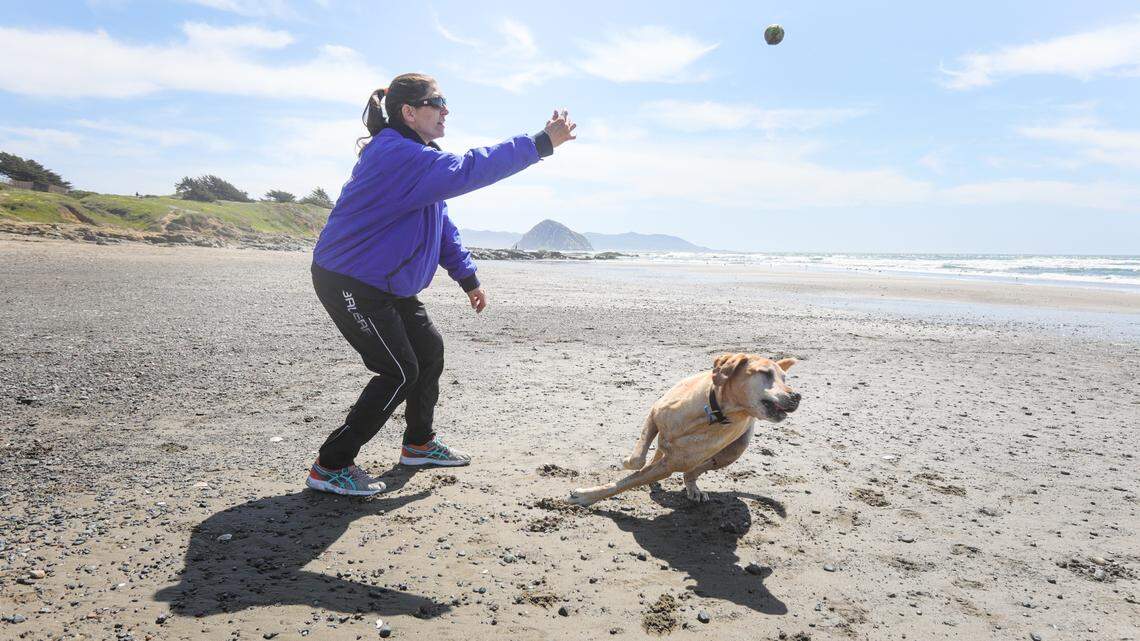 SLO ranked No. 2 among dog-friendly vacation spots in the nation. This is why
