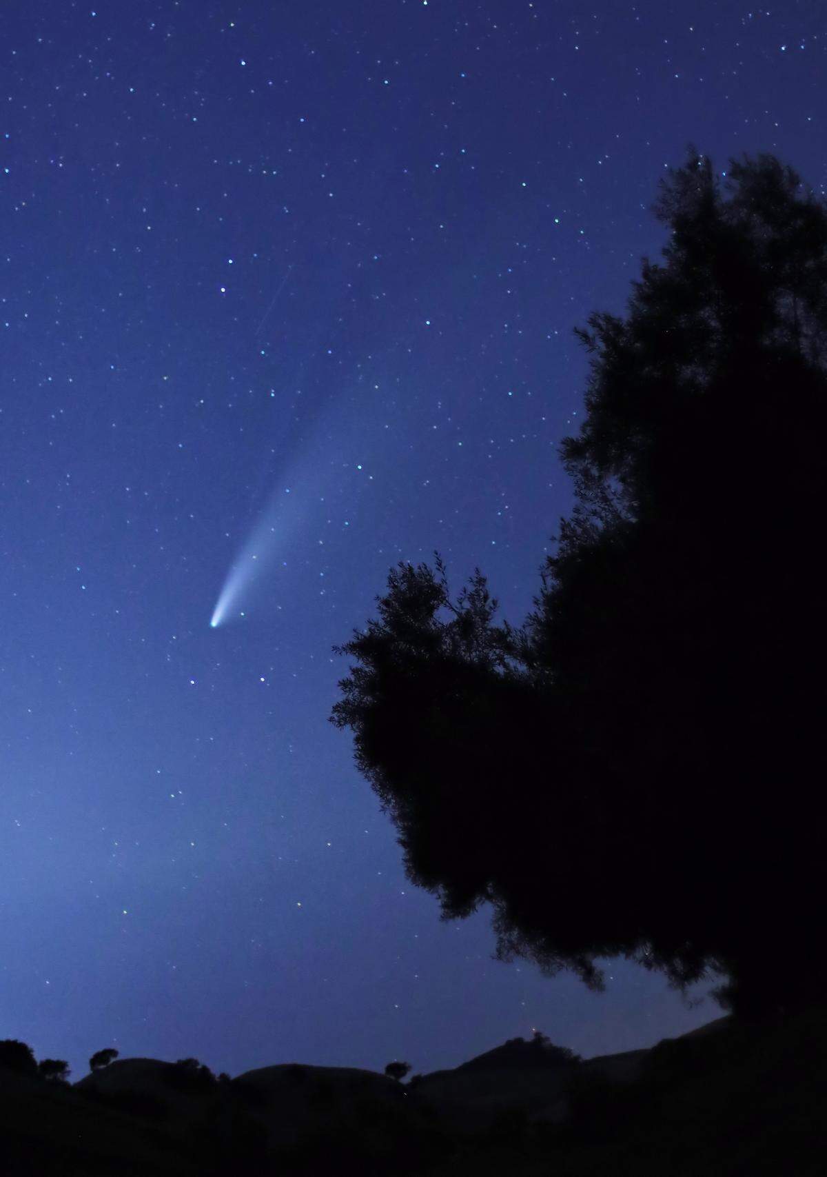 Arroyo Grande photographer Vivan Krug Cotton shot this photo of the NEOWISE comet on July 18, 2020.
