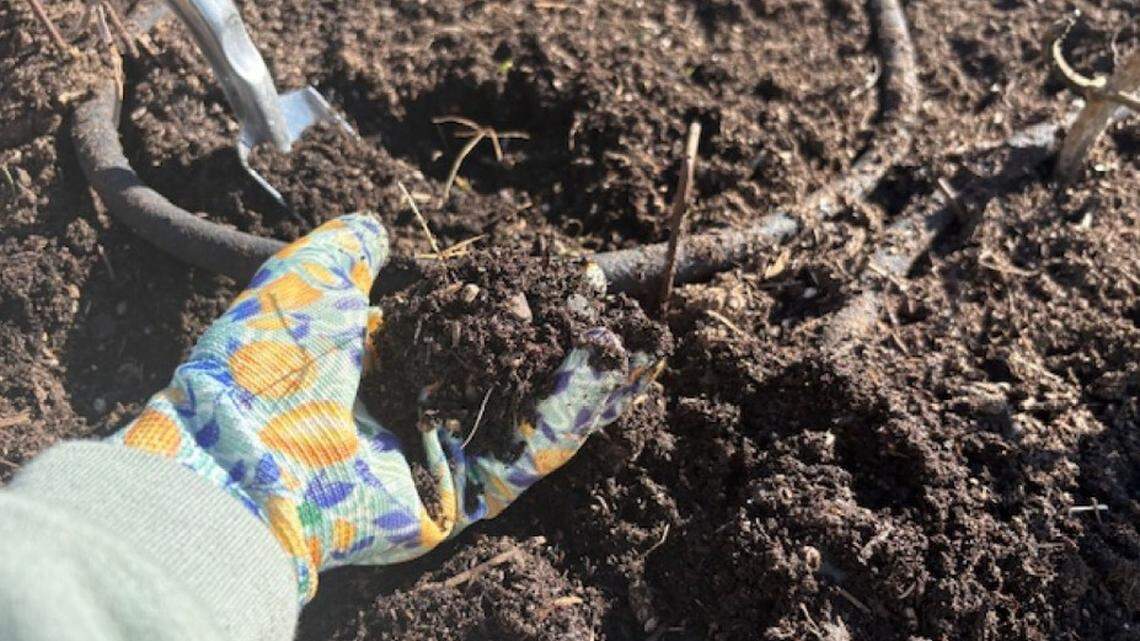 Good soil can make or break your SLO County garden. Here’s what to know