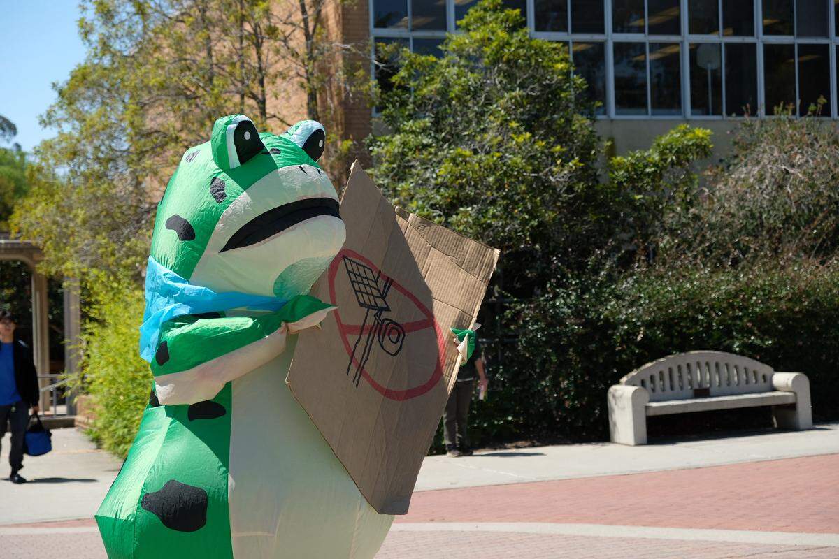 A person dressed in an inflatable frog costume protested the use of Flock cameras alongside other campus community members at Cal Poly on May 15, 2026.
