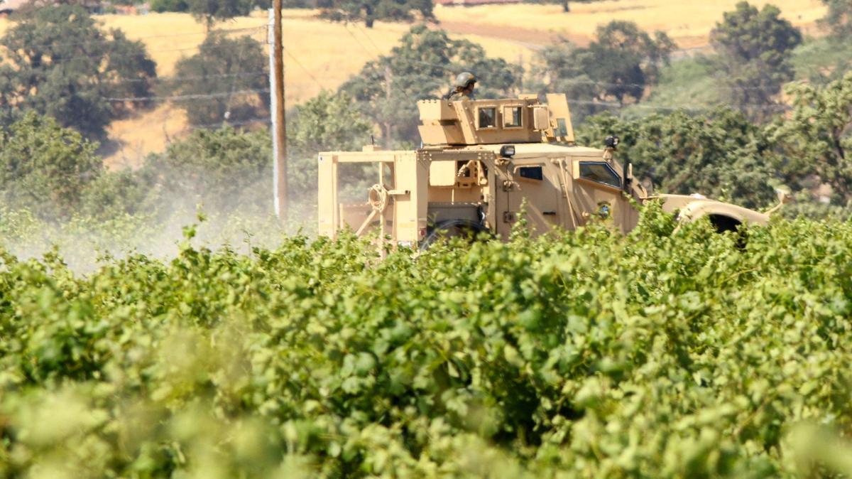 A tactical vehicle enters a vineyard next to the Salinas River on Thursday as police pursued shooting suspect Mason James Lira south of Paso Robles.