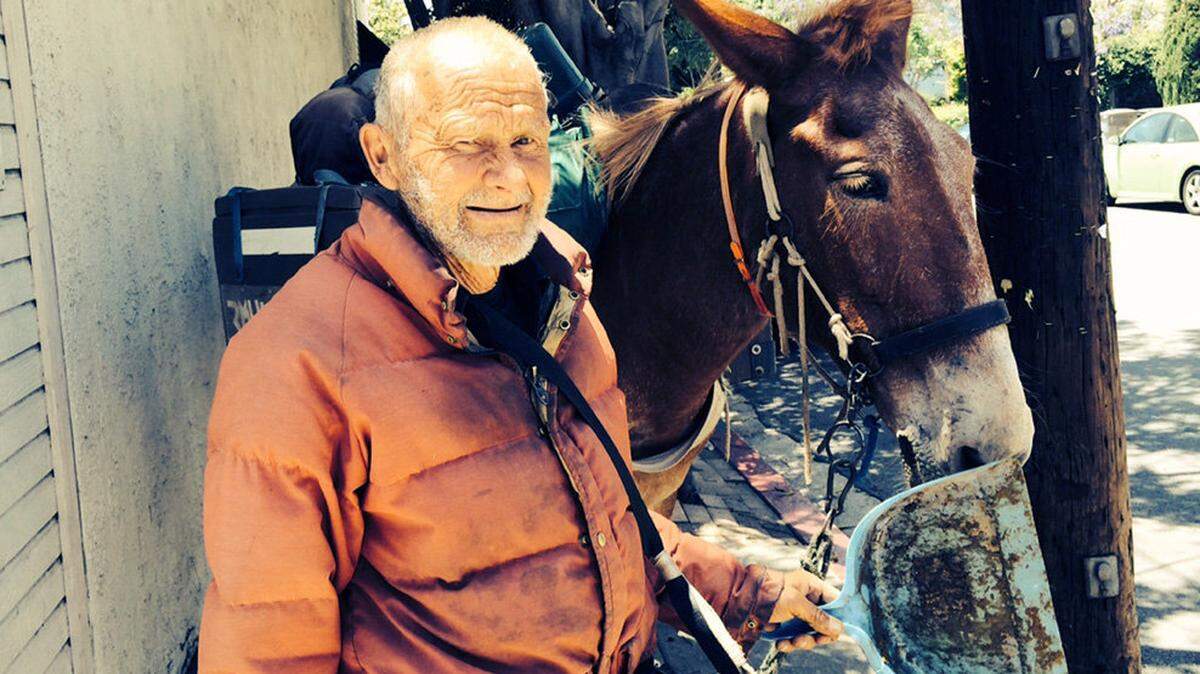 John Sears, aka ‘Mule,’ with one of his mules in San Luis Obispo last week. He was recently charged with violating the city’s camping ordinance after police found him staying near the railroad tracks close to Woodbridge Street on May 29.