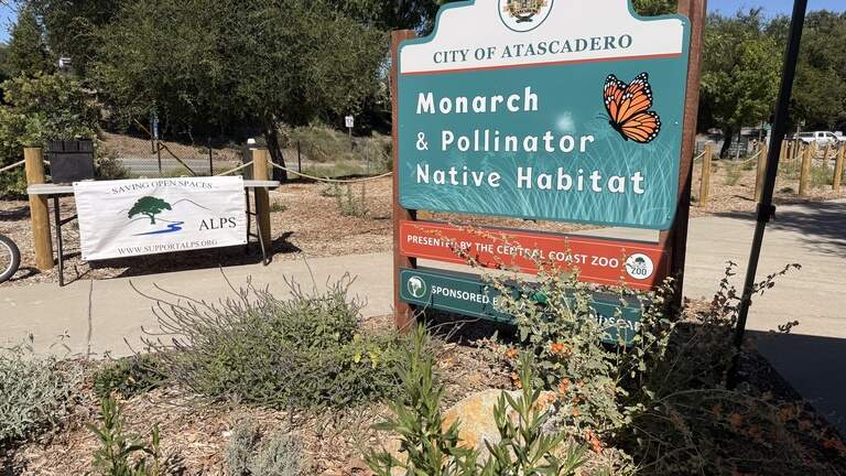 A new monarch butterfly habitat opened in this SLO County city. Take a look