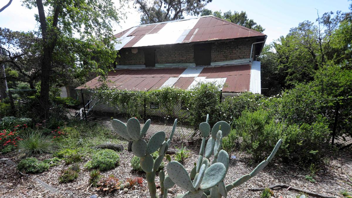 La Loma Adobe — or Bowden Adobe — on Lizzie Street is estimated to be the oldest private residence in San Luis Obispo County. The rare two-story adobe has been host to weddings, dances and dignitaries of the Spanish, Mexican and American eras. This photo is from April 14, 2025.
