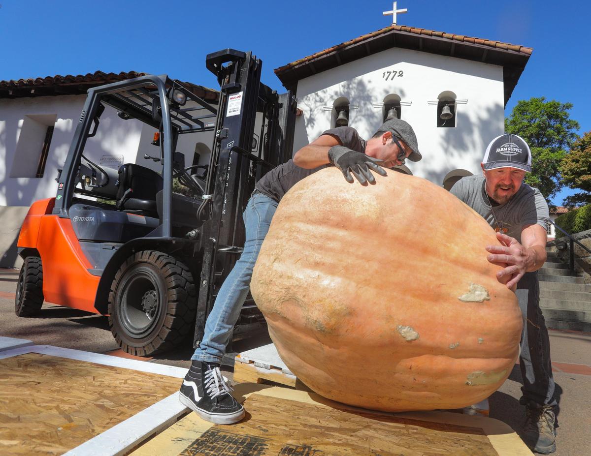 David Rodriguez, left and Bill Parilla move a pumpkin into place. Farm Supply organized the the 14th annual Great Pumpkin & Scarecrow Contest in San Luis Obispo’s Mission Plaza. David Middlecamp 10-17-2019