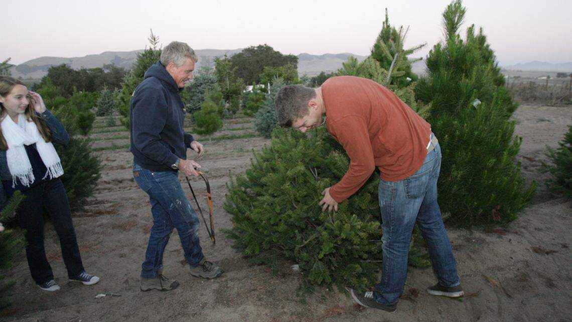 Christmas Tree Farm