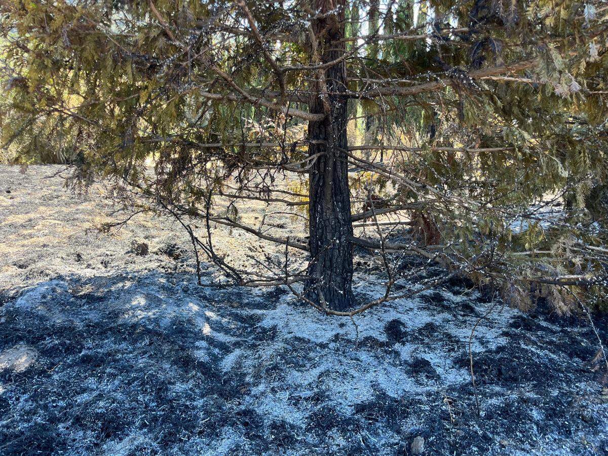 Cal Fire investigators looked through charred remains to find the cause of the Camino Fire in Arroyo Grande.