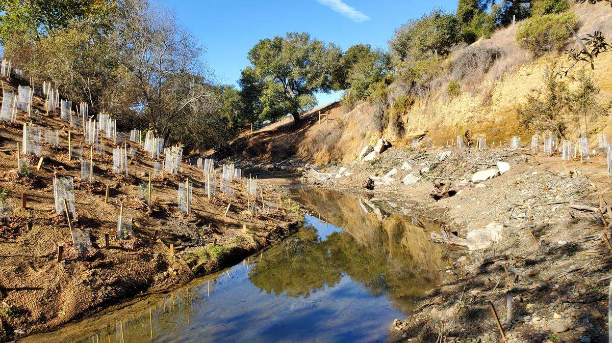 This is how a buttressed section of the Santa Rosa Creek bank looked in December 2020, before runoff from a torrential January storm wiped out many of the additions.