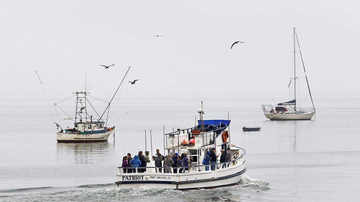 A Patriot Sportfishing charter heads to the waters off of Port San Luis for a morning of fishing.
Photo by Joe Johnston 06-18-15