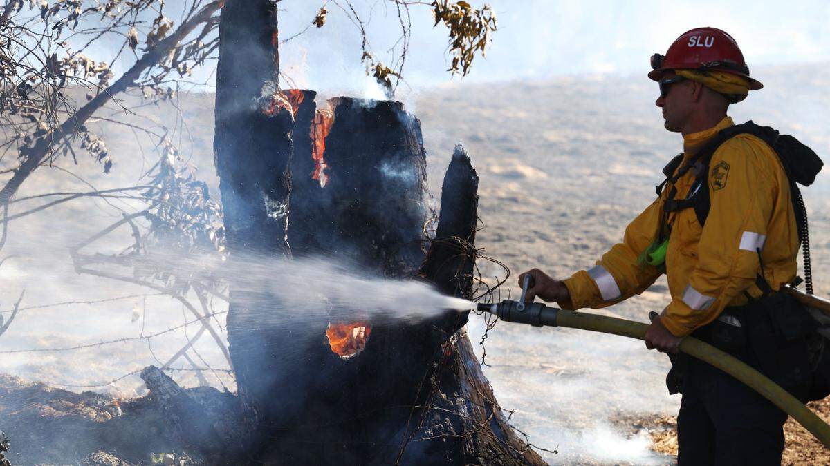 A firefighter douses a eucalyptus tree on fire in Nipomo on July 15, 2022.