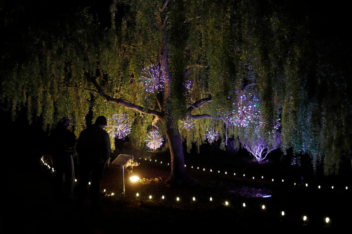 The SLO Botanical Garden has a new event called Nature Night. People can walk through an immersive outdoor holiday light and art exhibit, enjoy hot food and beverages.