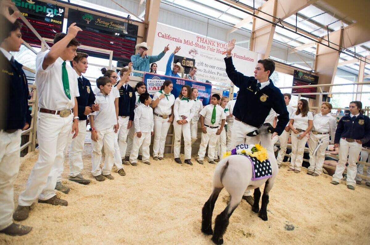 FFA and 4-H members help collect pledges during the California Mid-State Fair Junior Livestock Auction to fund a capital campaign in honor of Hugh Pitts Jr., an Adelaida rancher and longtime agriculture supporter who died in June. The sheep pictured in the middle of the group honors Pitts’ legacy as an animal buyer and Texas Christian University, his alma mater.