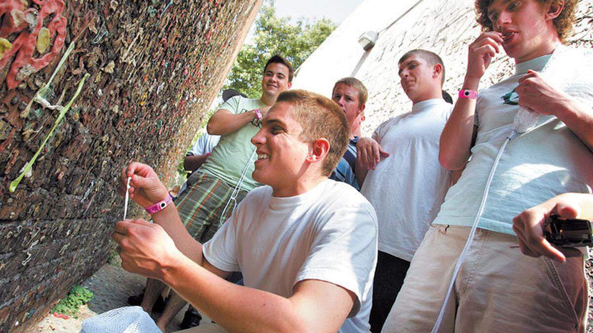 Cal Poly freshmen participating in Week of Welcome leave their mark on Bubblegum Alley during a tour of downtown San Luis Obispo in 2006.