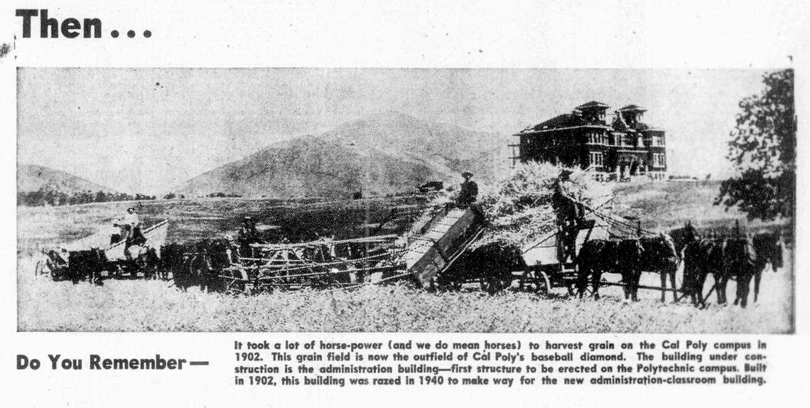 This historic photo of the first Cal Poly building under construction in 1902, with a horse-drawn grain crew in the foreground was part of an E.C. Livingston advertisement in the May 26, 1951, Telegram-Tribune. They sold farm machinery in Paso Robles. The original building was razed in 1940 to make way for the clock tower building.