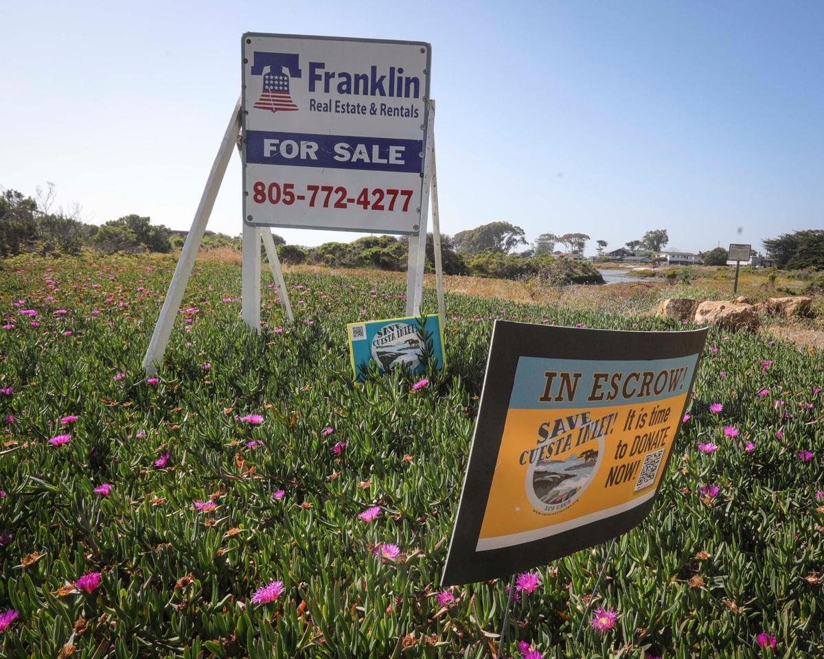 Community members raced to raise $735,000 to buy the Cuesta Inlet in Los Osos by Nov. 29, 2025.  The 13-acre property includes a man-carved inlet at the edge of the Morro Bay estuary, seen here on June 12, 2025.