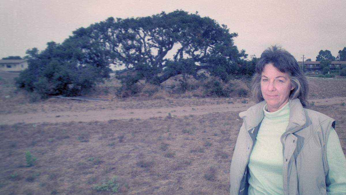 Christine Harvey is part of a group that wanted to save two 200-year-old oaks that are in the way of a Vons supermarket then planned for near Courtland Street, pictured June 10, 1993. Vons chose another location, but the trees were removed for another development.