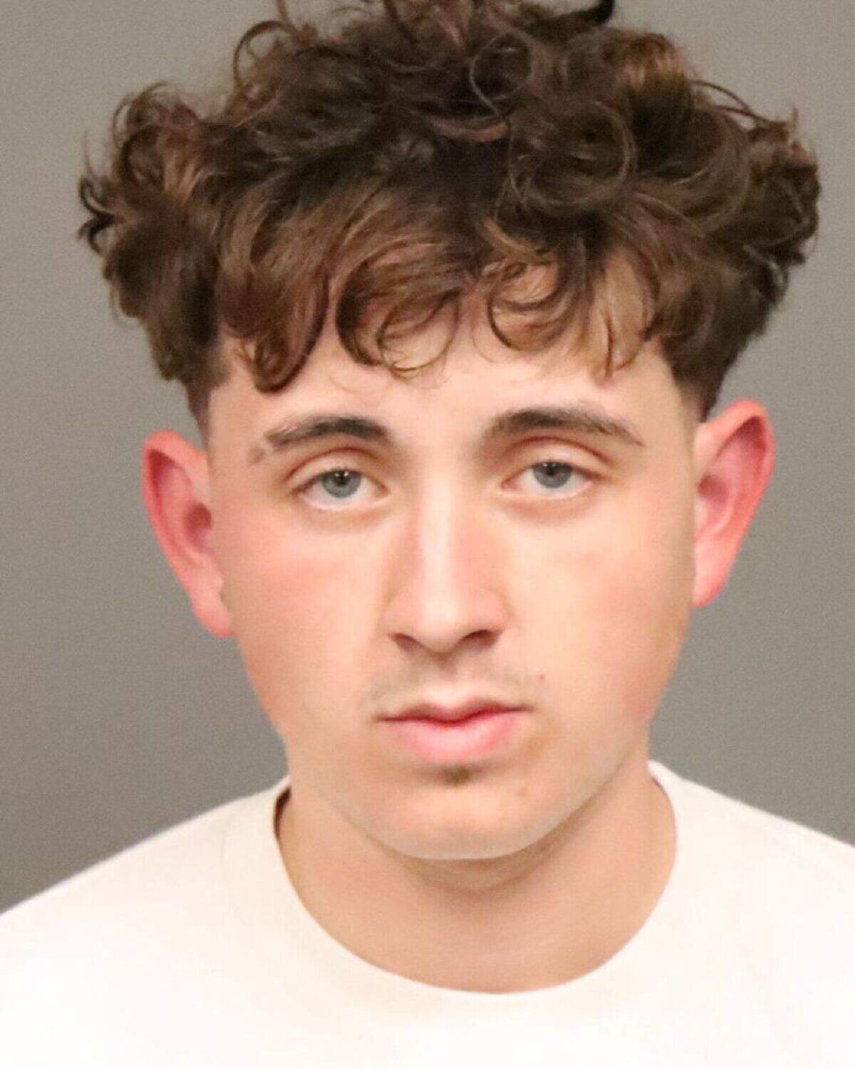 Arroyo Grande resident Malachy Damien Hayes, 18, pleaded no contest to felony elder abuse after attacking a homeless man on March 20.