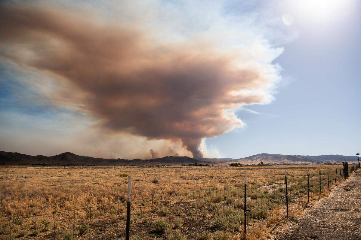 The Gifford Fire burns in eastern San Luis Obispo County in a view from California Valley on Aug. 5, 2025.