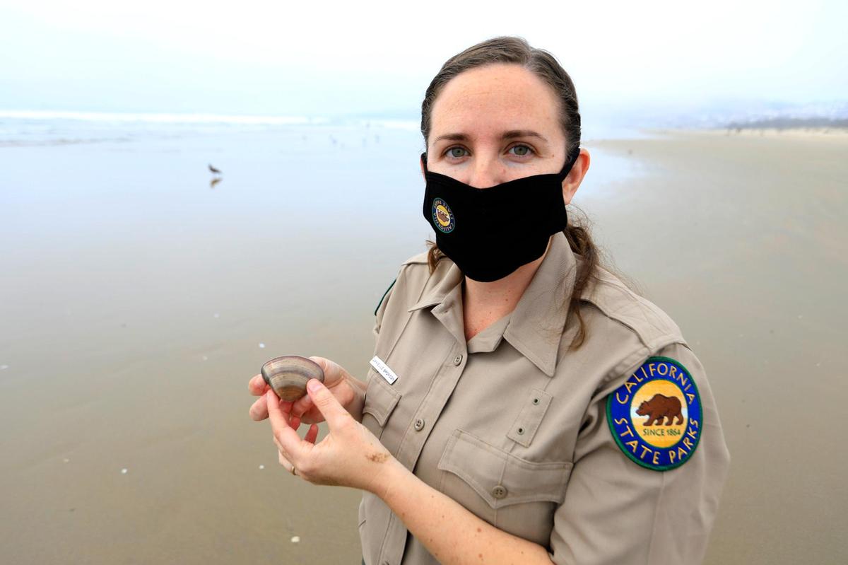 California State Parks Interpreter Danielle Bronson explains how to properly bury Pismo clams that have surfaced on the beach.