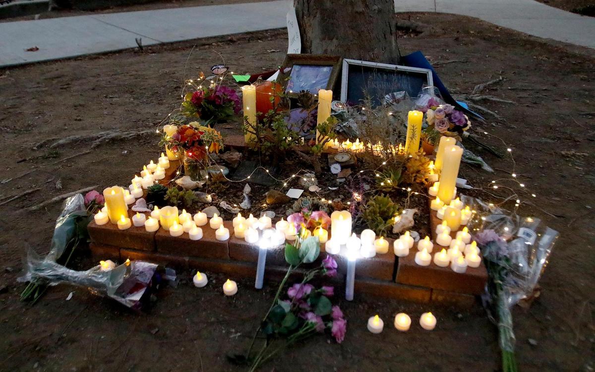 A vigil for Kristin Smart was held on the Cal Poly Campus Friday evening, Oct. 21, 2022. Safe candles,. photos and flowers surrounded a tree near her Muir Hall dorm. (Laura Dickinson, The Tribune, San Luis Obispo).