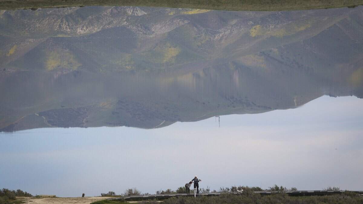 The landlocked Soda Lake reflects the Temblor Range as hikers take a look at a display on the boardwalk. Wildfowers got an early start in California Valley with heavy early rains then heat as seen here on Feb. 5, 2026. The display is limited to south and west facing hills at the moment and may be a staggered start to various areas.