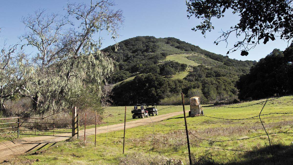 Buyer Steven Carlson plans to build two homes on the nearly 2,000-acre Madonna/Twisselman ranch lands he bought with his family at auction on Thursday.