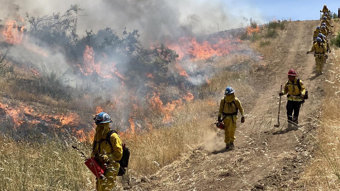 What’s the best way to prevent catastrophic wildfires? Here are a few solutions