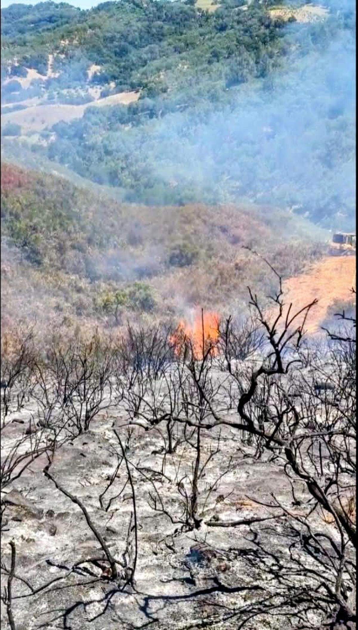 Flames burn through brush at the Rock Fire west of Paso Robles on Sunday, May 10, 2026.