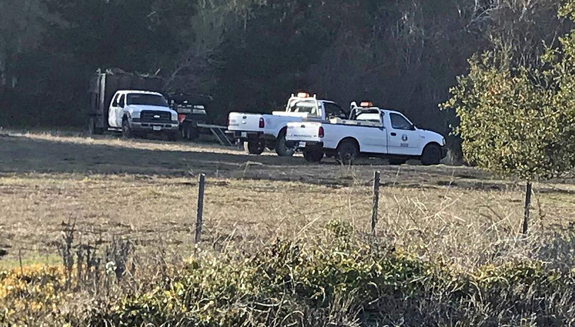 A multi-agency team, with help from the displaced homeless residents, dismantled and removed a large illegal encampment from Cambria’s Fiscalini Ranch Preserve on Jan. 6 and 7, 2021. The camp could be seen from Highway 1., just southwest of the Cambria Drive intersection.