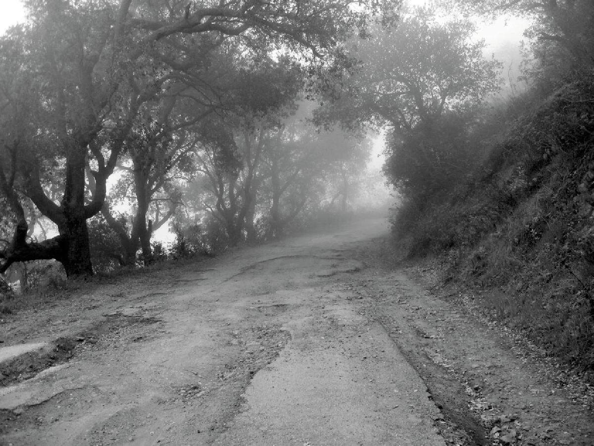 The first graded road over the Cuesta was constructed by Chinese laborers in 1877.