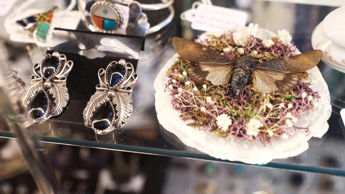 Bizarre Antiques & Oddities features a variety of original and vintage items. The business is at the corner of Monterey Street and Johnson Avenue, seen here on April 3, 2025.