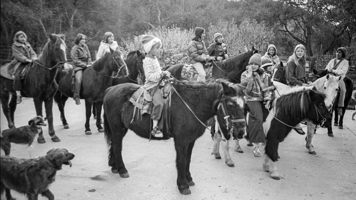 Carolers on horseback, some with Christmas hats, at Squire Canyon, Dec. 10, 1976, from the left Saura Hitchman, Abby Allen, Pat Cook, Timothy Hitchman, Kathleen Andreoli, Bonnie Markoff, Laura Barber, Gina Andreoli, Libby Brown, Emily Packard and Gaylene Mattina are escorted by dogs Tucker, with striped face, and Laddie.