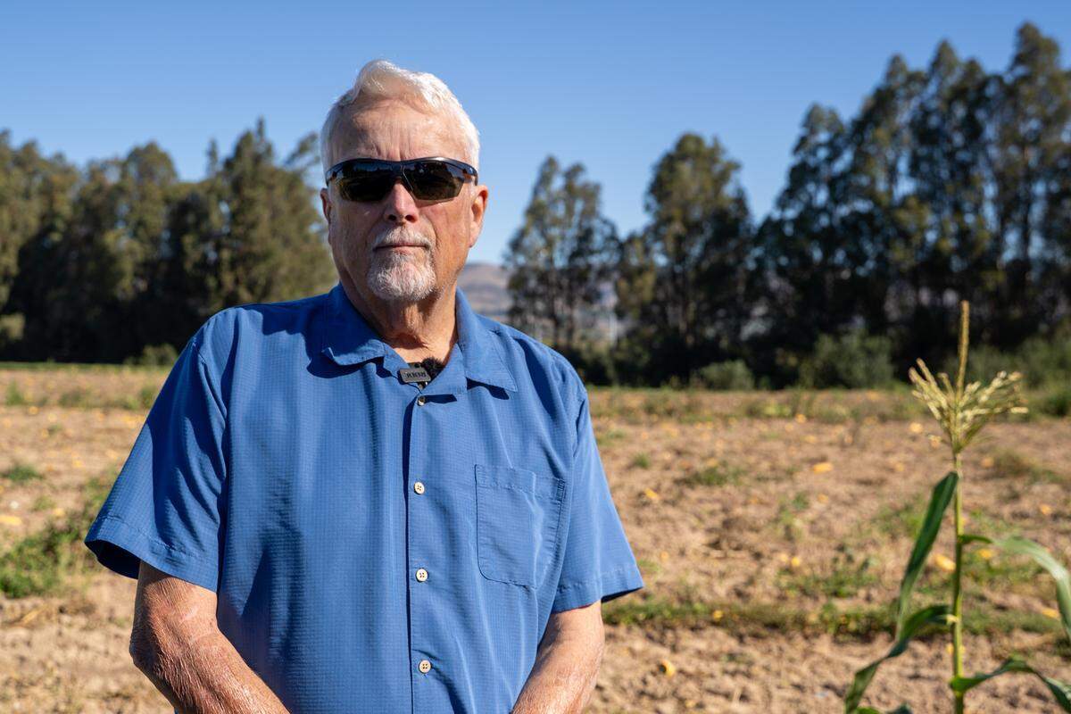 Former Judkins Middle School social studies teacher and Dana Adobe & Cultural Center docent Terry Handy stands in front of a field on Oakglen Avenue in Nipomo where the 'Migrant Mother' photo by Dorothea Lange is believed to have been taken on Friday, Oct. 24, 2025.