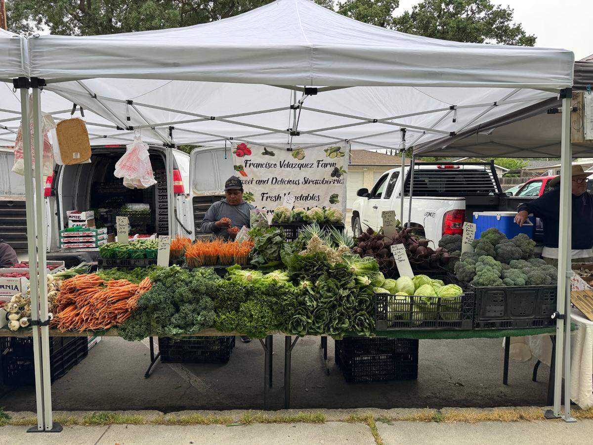 A vendor checks out carrots at the Francisco Velazquez Farm stand at the Templeton Farmers Market on May 17, 2024.