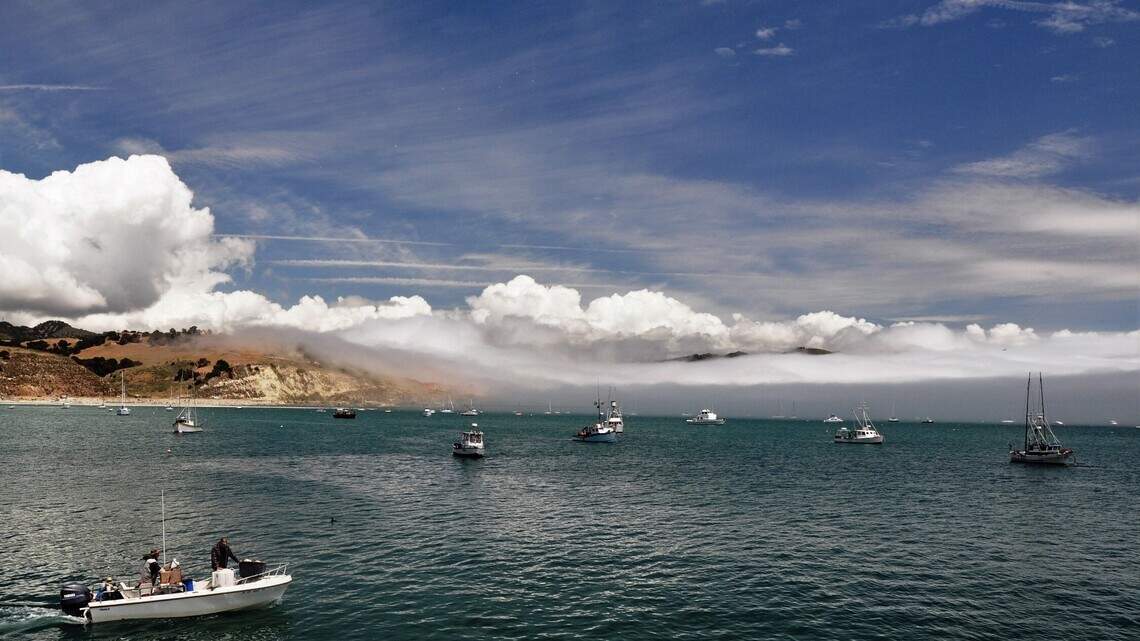 Species die-offs and extreme weather. How WA marine heatwave ‘blobs’ are wreaking havoc