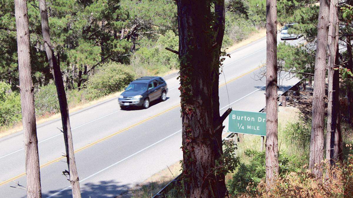 How close are the forest homeless encampments to the highway? This photo of Highway 1 through Cambria was taken Monday from a trail leading past one small encampment en route to a larger dwelling in Fern Canyon.