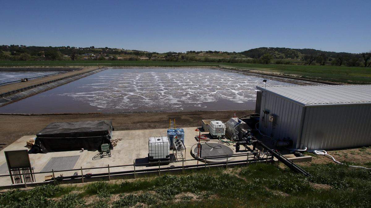 New ponds at Firestone Walker Brewing Co. are designed to treat the water the brewery uses to rinse its tanks.