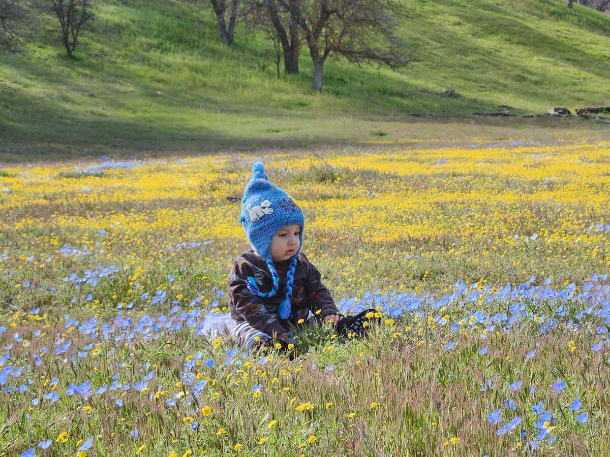 Jamie Hanley of Pismo Beach took this photo of her 8-month-old son, Yehoshua, sitting among the wildflowers at Shell Creek Road off Highway 58 near Santa Margarita.
