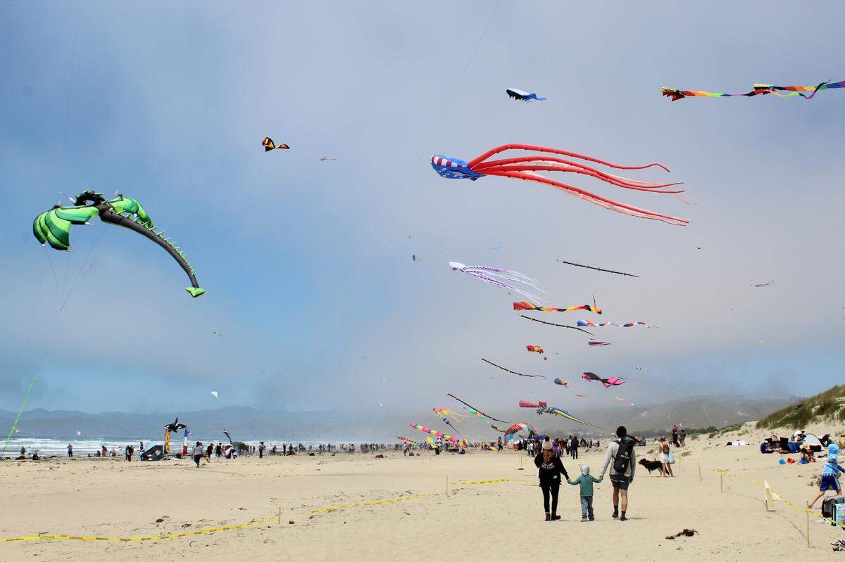 Families pass by kites displayed at the Morro Bay Kite Festival on Saturday, April 30, 2022.