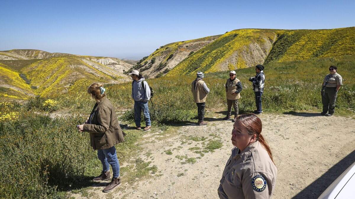 A group of volunteers and staff from the Antelope Valley California Poppy Reserve took a docent enrichment field trip to the BLM managed Carrizo. Callista Turner, interpreter, lead the group to Elkhorn Road. Wildflower season is in full bloom on the Carrizo Plain seen here on March 11, 2026.