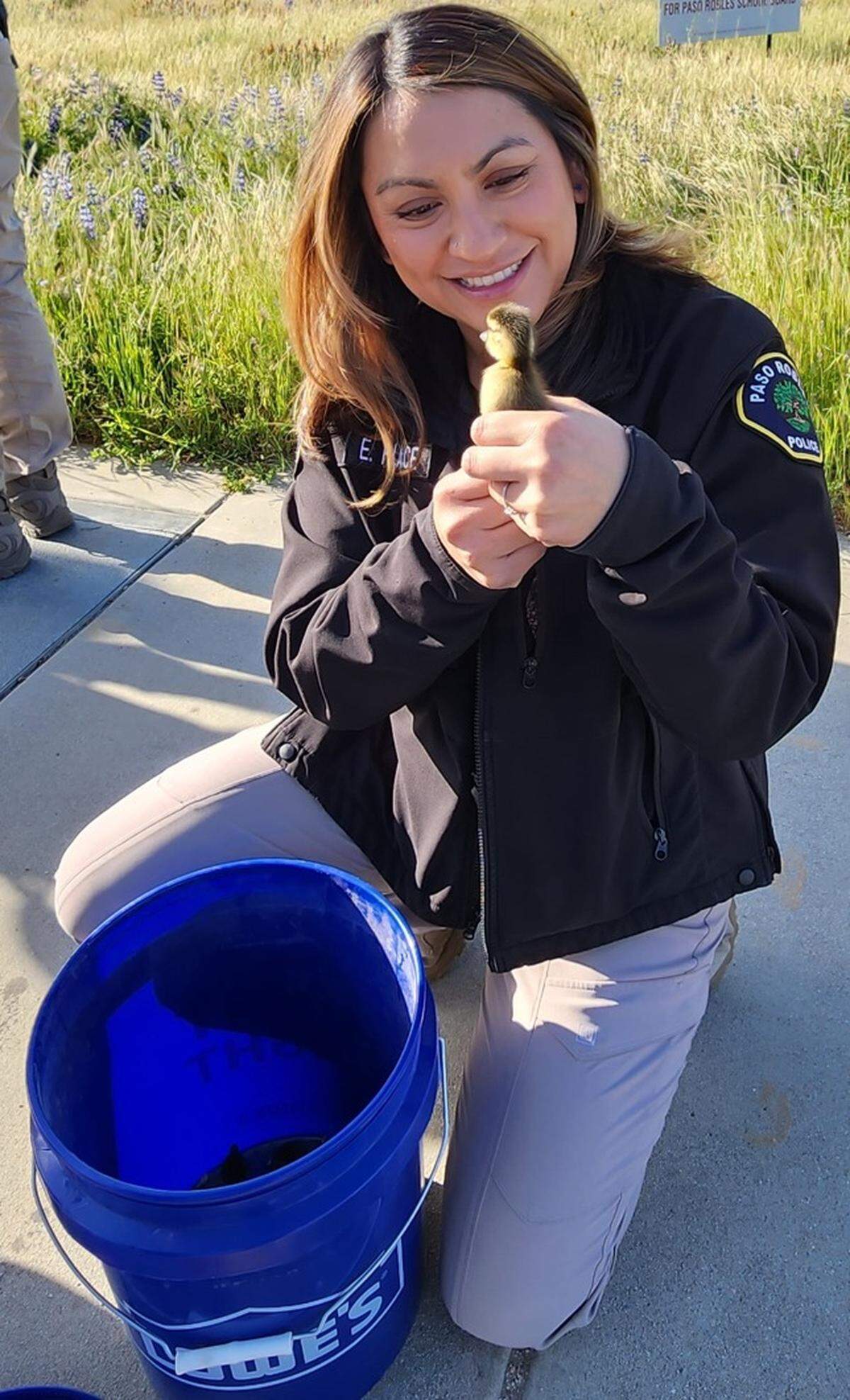 Paso Robles Police Detective Elizabeth Place holds one of the 13 ducklings that were rescued from a storm drain at Niblick and Creston roads on April 13, 2023.