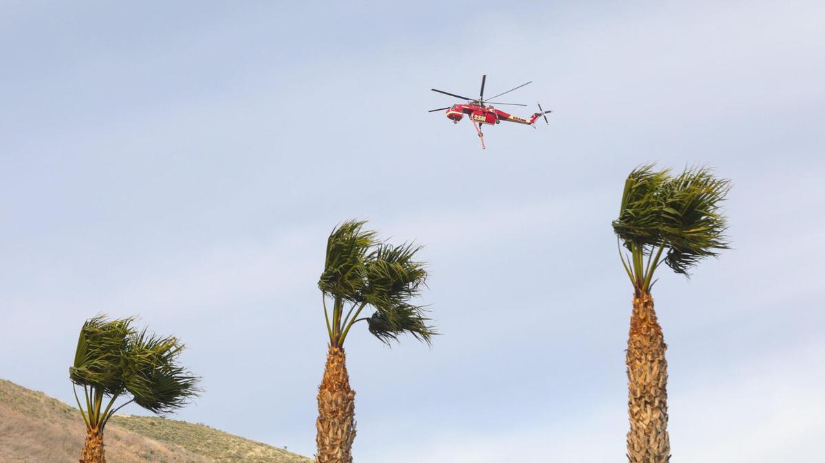 Palms show gusty winds coming down the coast. A wind-driven brush fire quickly moved south along Highway 101 along the Shell Beach straits and into Pismo Beach.