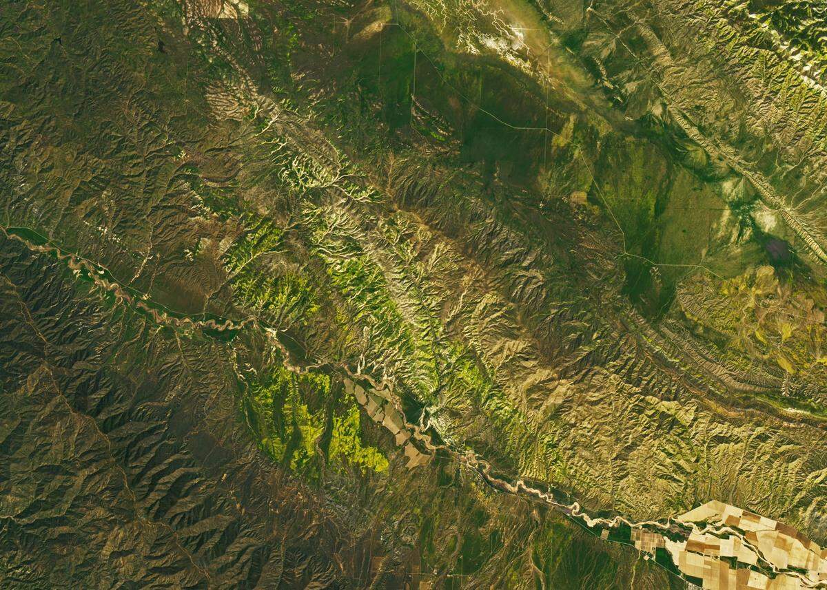 The superbloom in the Carrizo Plain National Monument in San Luis Obispo County can be seen from space, as shown in satellite images released by NASA in April 2023.