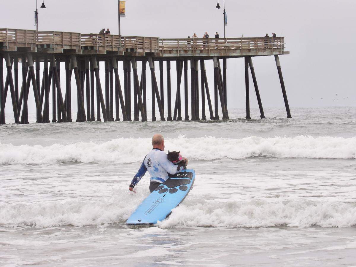 The World Dog Surfing Championships Exhibition Tour took over Pismo Beach on May 2, 2026. Human surf partners often carried their smaller canine counterparts, like French bulldog Iza, pictured above, out into the water.