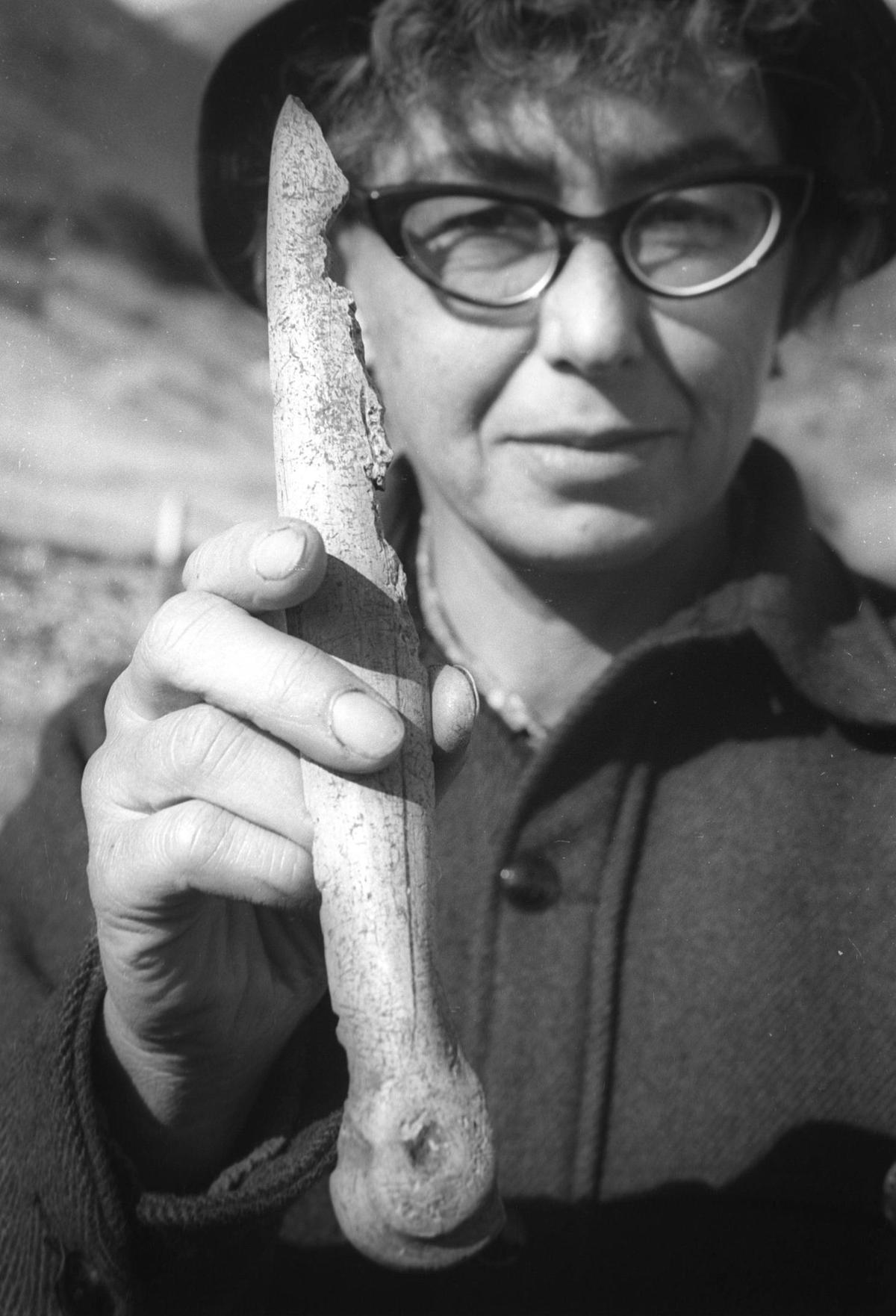 Roberta “Bobbie” Greenwood — research archaeologist for the Los Angeles County Museum of Natural History — displays a Chumash bone dagger found during excavations at the site of Diablo Canyon nuclear power plant, on June 10, 1968.