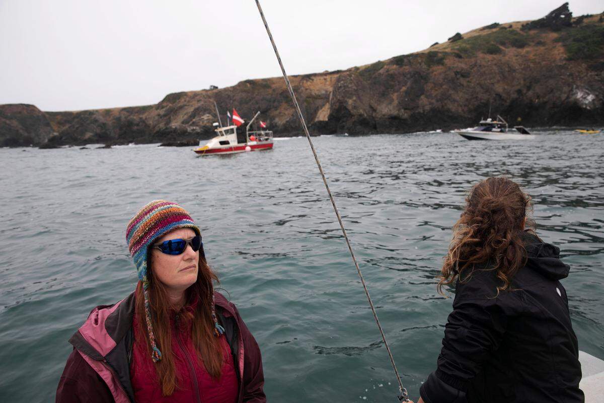 Cynthia Catton, left, an environmental scientist, supervises a team of interns during a purple urchin removal event in Albion Cove in Little River, Calif., July 21, 2018. Climate change is ravaging California’s underwater kelp forests. That’s caused what one scientist called a “perfect storm” in the ecosystem.