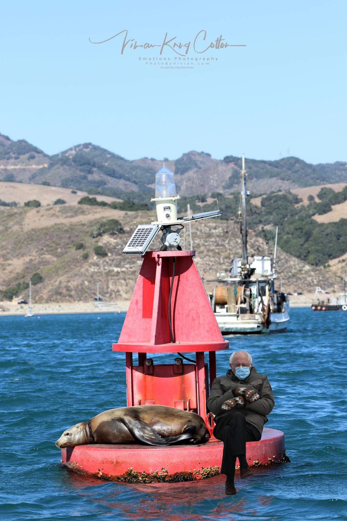Sanders chilling with a sea lion on a buoy in Port San Luis. 