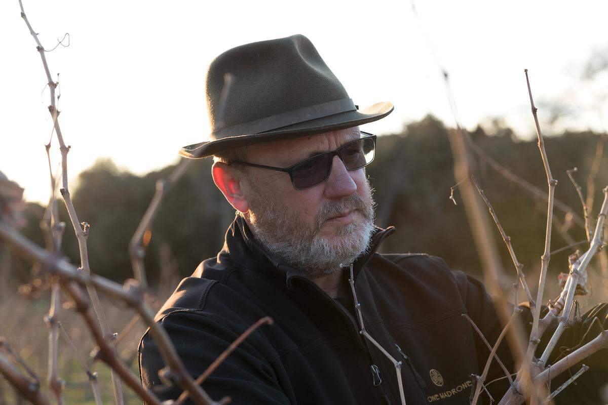 Neil Collins is the founding winemaker and co-owner of Lone Madrone Winery, which soon will be located at their family-owned estate facility on Highway 46 West.