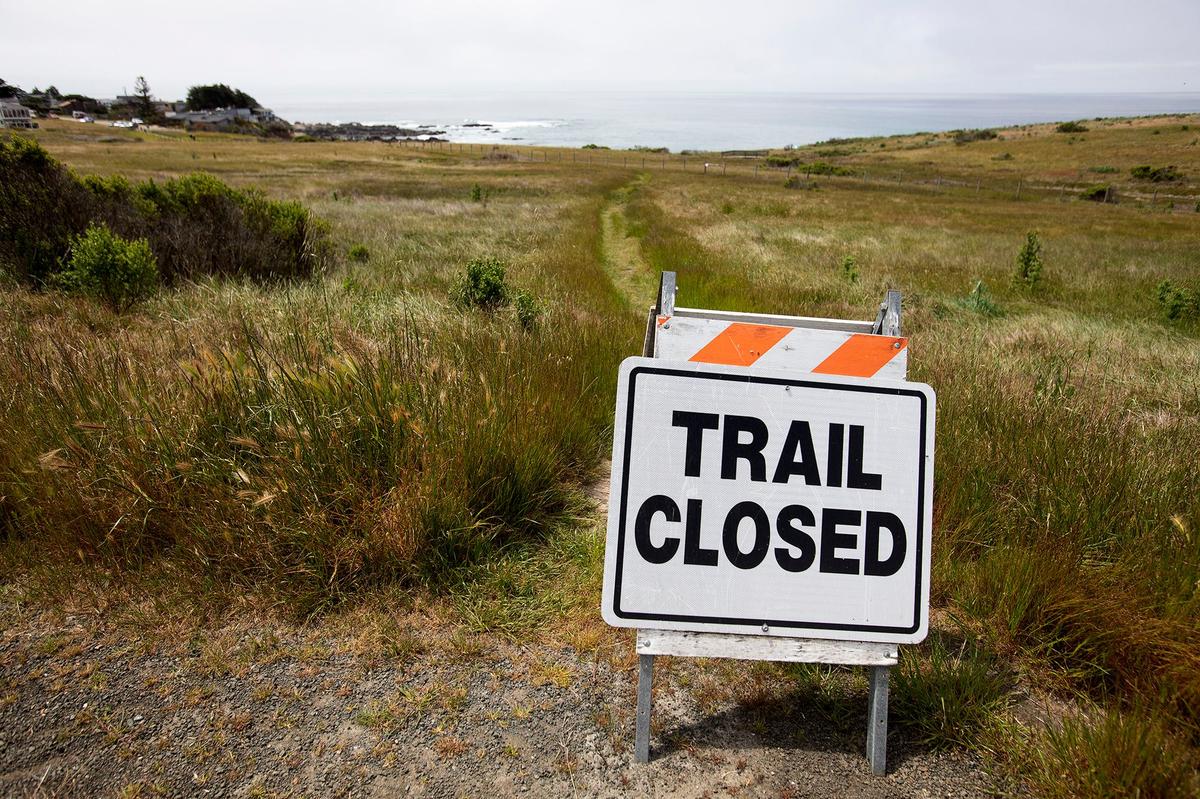 Fiscalini Ranch Preserve will soon have a closed-loop, ADA compliant boardwalk, a 1.6-mile trail along bluff-top and coastal prairie. Pictured is the rough trail, now closed, from the Marine Terrace Trail to the Bluff Boardwalk Trail.