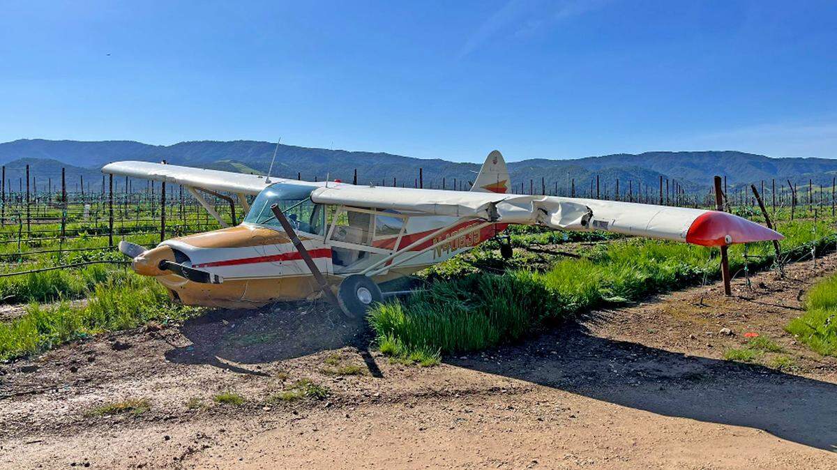 No injuries were reported Saturday, March 18, 2023, after a small plane made an emergency landing in a vineyard adjacent to the Santa Ynez Airport.